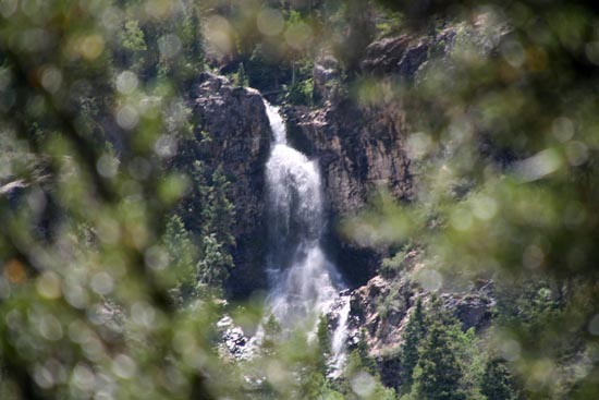 2008 White Family Reunion at Big Rock Candy Mountain, Utah